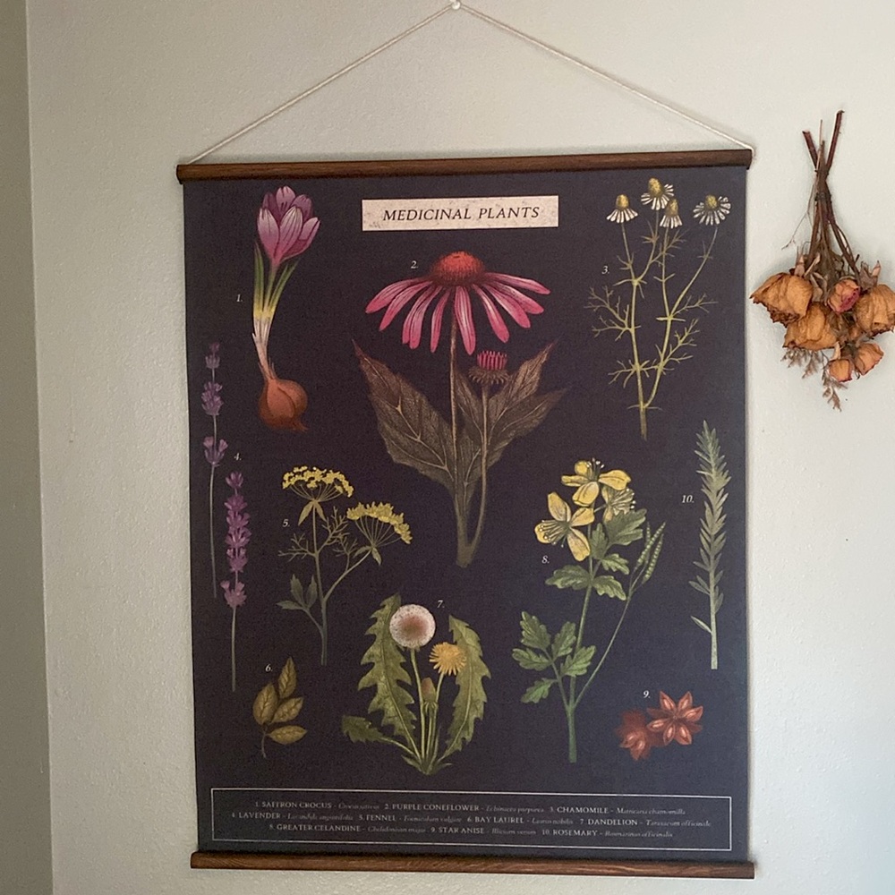 Botanical Wall Art with Black Background - Picture 2 of 6